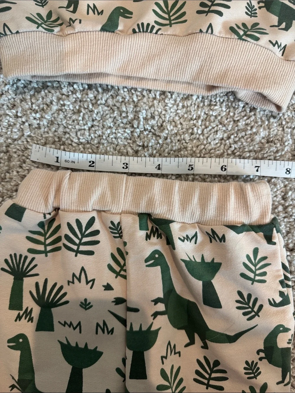 Amazon cozy two